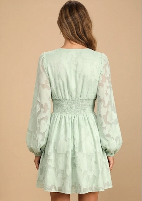 Long Sleeve V-Neck Dress